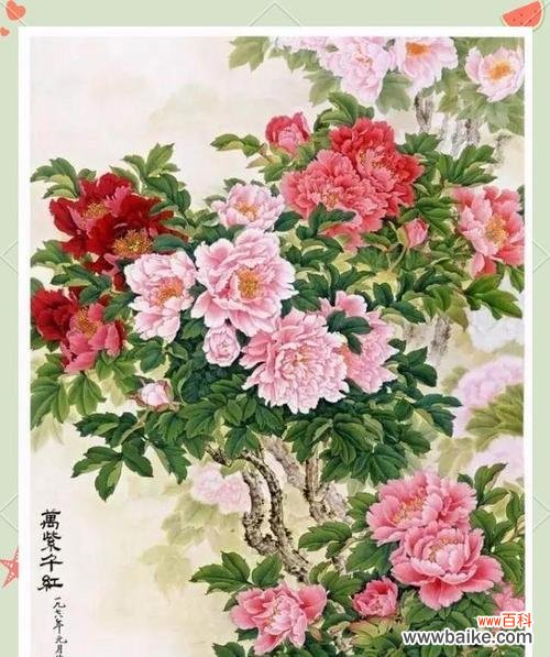 象征爱情的国花是什么花？吉祥的花象征什么意思？