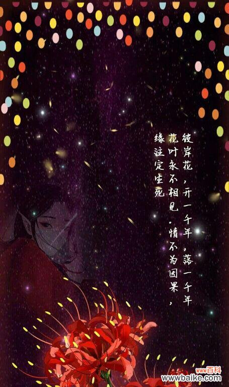 探索花海中的神话与意义 曼珠沙华