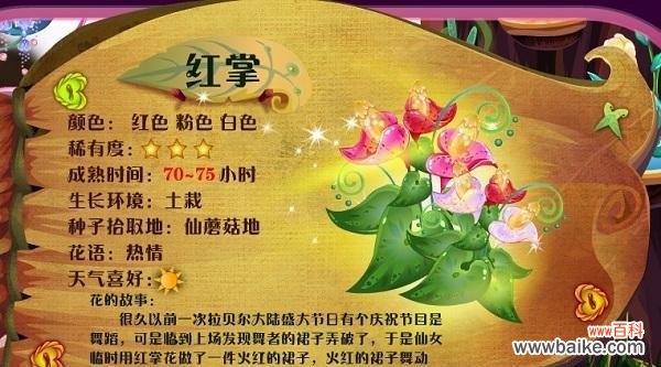 揭示粉掌花的情感象征和美丽寓意 粉掌的花语及其意义