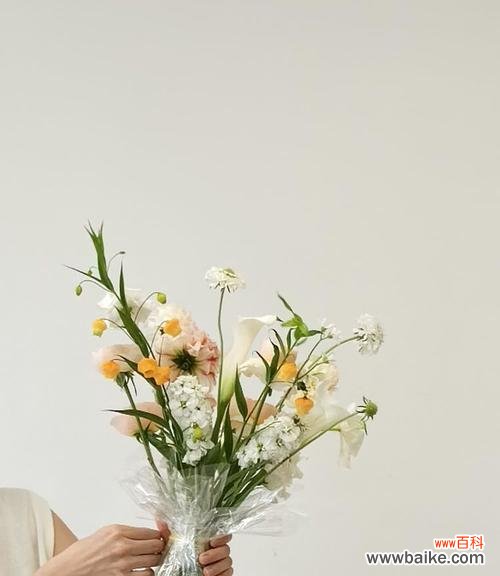 两种颜色花搭配在一起代表什么？