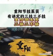 重阳节送茱萸花有何寓意？茱萸花在重阳节的意义是什么？