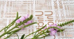 凤尾花——祥瑞与美丽的象征 凤尾花的象征意义及文化传承