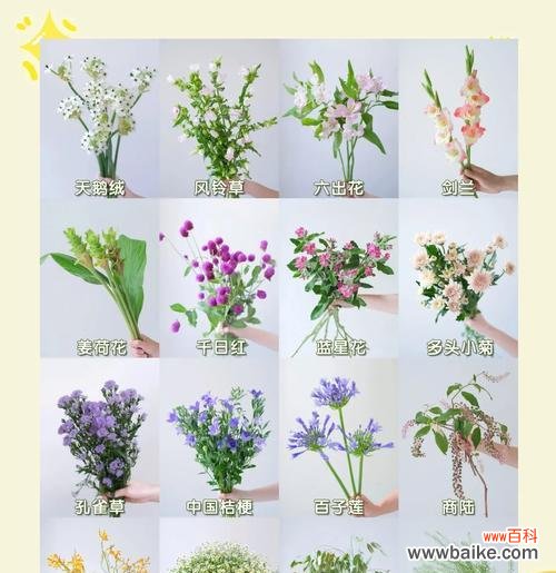 夏天哪种花代表爱情?