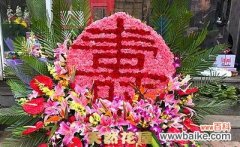 送长辈的花寓意什么好呢？如何用它表达孝心？