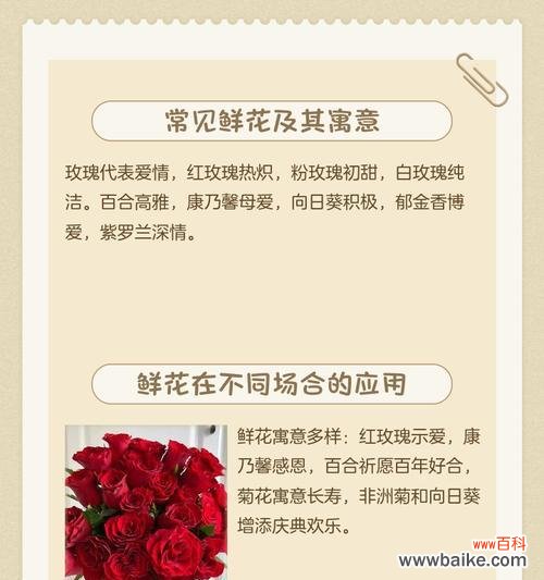 不同颜色的花各自表达着怎样的含义？