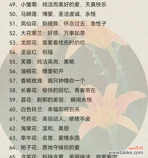 哪种花象征新的爱情？新爱情的花有哪些选择？