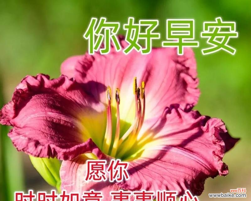 有哪些祝福词语含有花的含义?花在祝福语中的象征意义是什么?