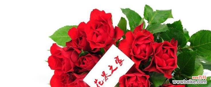 感谢的花语有哪些？祝福花语大全是什么？