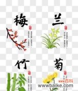 传统美学中的四君子花卉及其意义 梅兰竹菊