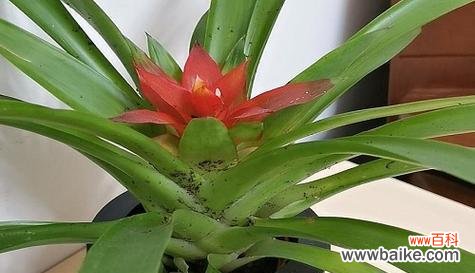 探寻鸿运之源 鸿运当头，风水的启示