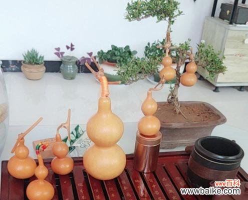 揭示葫芦的深层文化内涵和风水作用 葫芦的寓意与风水象征