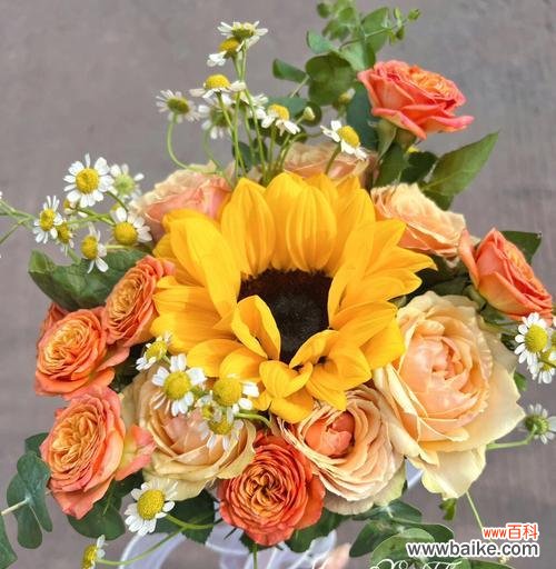 鲜花橙色芭比花语是什么?橙色芭比花在送礼时的特别含义?