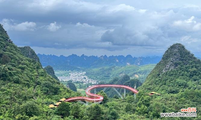 如意峰的花语是什么？如意峰花语代表什么？