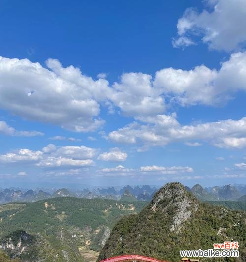 如意峰的花语是什么？如意峰花语代表什么？