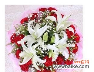 母爱的象征 康乃馨花语解析