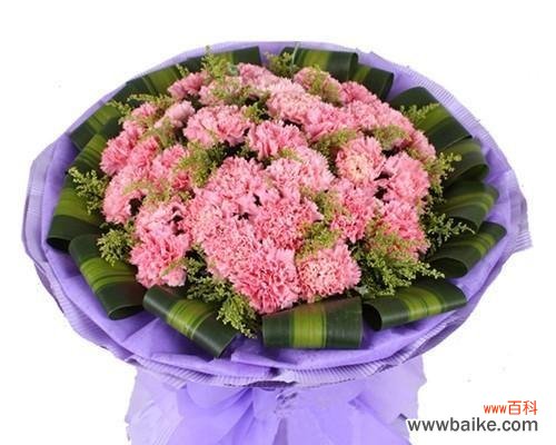 母爱的象征 康乃馨花语解析