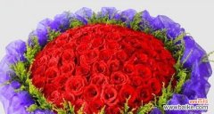 用玫瑰朵数传递情感与寓意 玫瑰花朵数的象征意义