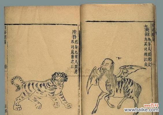 富贵花与貔貅合体有何寓意?如何利用花卉表达富贵?