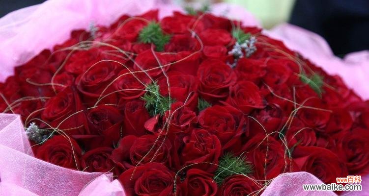 玫瑰花数量所代表的各种寓意 玫瑰花的意义与象征