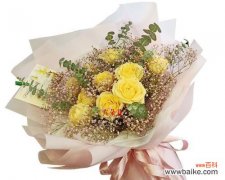 黄色满天星花代表了什么？