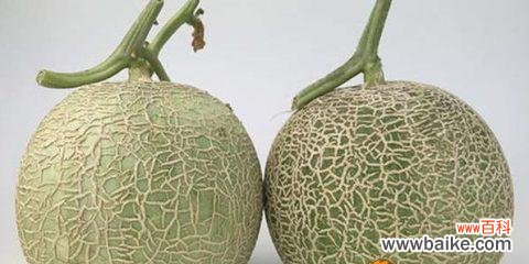 挥洒盛夏之味 哈密瓜