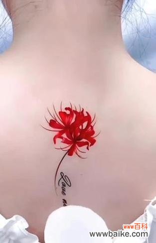 黄色彼岸花纹身有何寓意?它代表了什么?