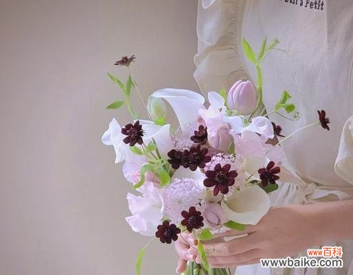 手捧花的色彩如何表达对朋友的情感？