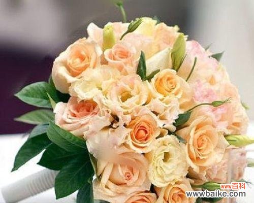 浅色手捧花的含义和象征是什么？