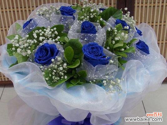 追寻爱的真谛 玫瑰花蓝色妖姬的象征意义