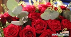 揭示玫瑰花数量所代表的情感寓意 玫瑰花的数量与情感意义