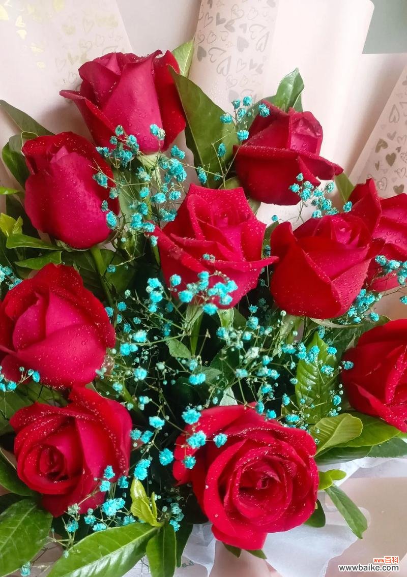 情人节送什么花有特别含义？它们各自代表什么？