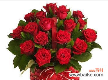 温居祝福用什么花语？花语大全有哪些？