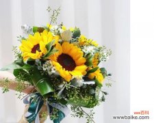 太阳花手捧花有何寓意？太阳花在手捧花中的意义是什么？