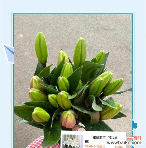 手捧花中两种花材代表什么？手捧花的寓意有哪些？