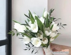 手捧花29朵代表什么？它的花语是什么？