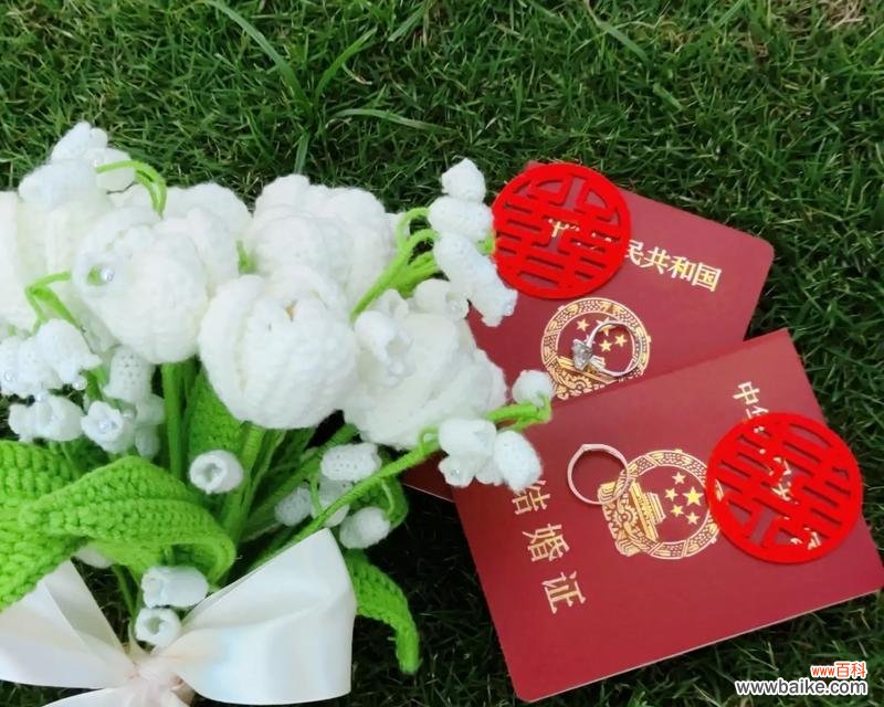 手捧花29朵代表什么？它的花语是什么？