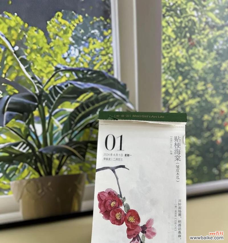 2024年有哪些特别的祝福花语？它们分别代表什么？