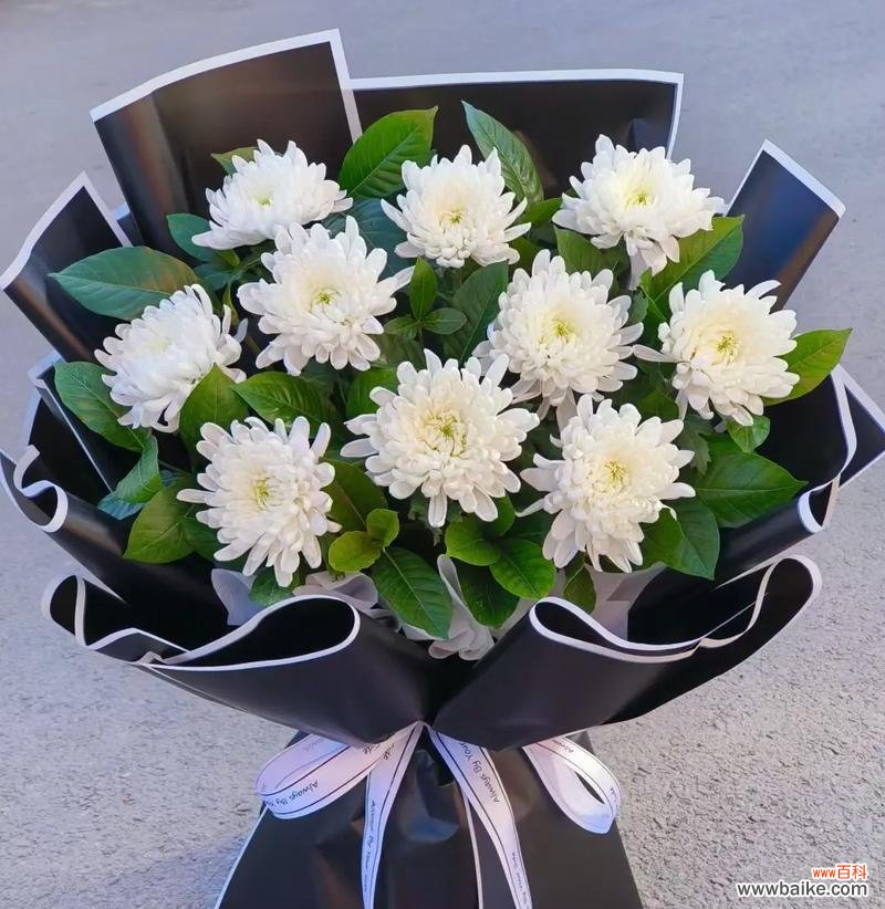 清明节花束中3支花的寓意是什么?清明节花卉的意义有哪些?