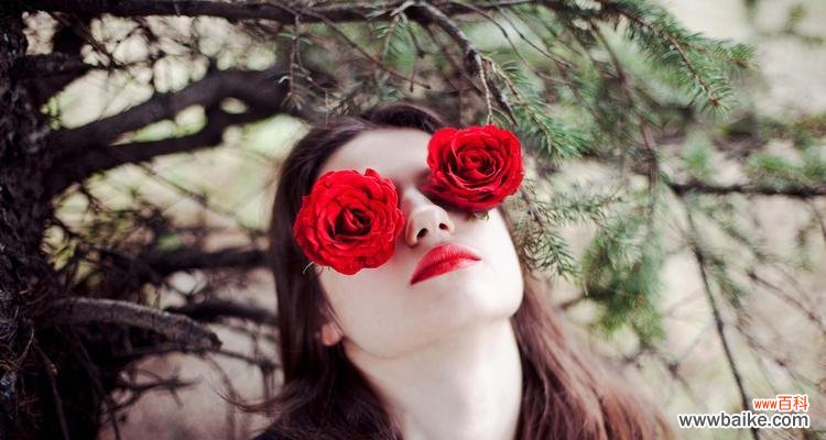 探寻黑美人开花的神秘之美 黑美人的花语与寓意