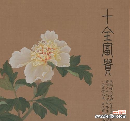 牡丹花象征富贵吗?牡丹花的富贵寓意是什么?