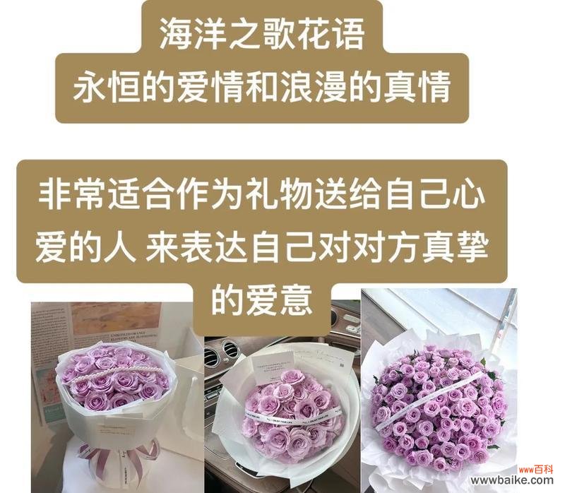 花语如何成为爱情的见证?哪些花语代表爱情?