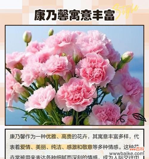 哪种花象征海洋?它的寓意是什么?