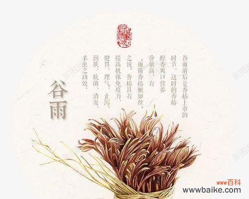 椿花的文化寓意是什么?