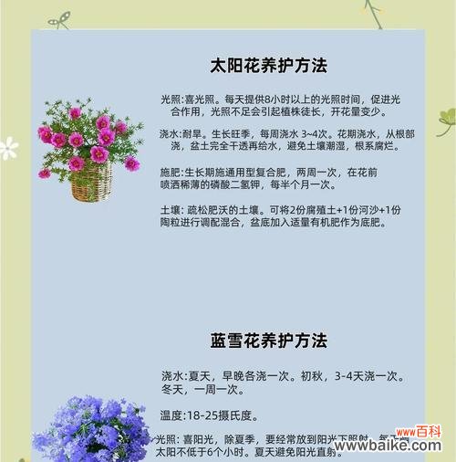 不同场合选择花卉的含义是什么?