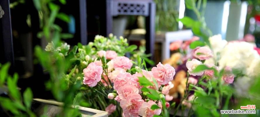 护士节送百合花有什么寓意？百合花在护士节的意义是什么？