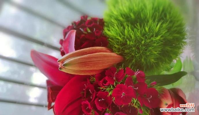 主卧室放假花代表什么？假花象征平安的含义是什么？