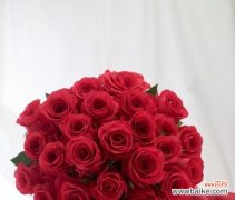 探索花语中的数字密码 以玫瑰送多少朵寓意是什么