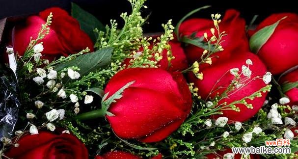 探索花语中的数字密码 以玫瑰送多少朵寓意是什么