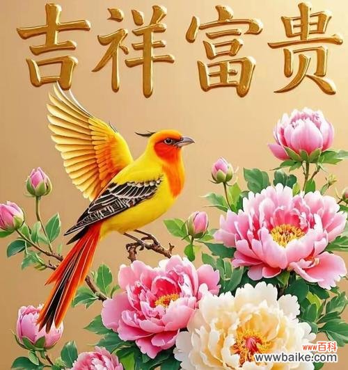 哪种花象征平安祝福？平安花的寓意是什么？