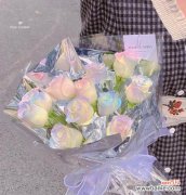 哪种花象征着不渝的爱情？